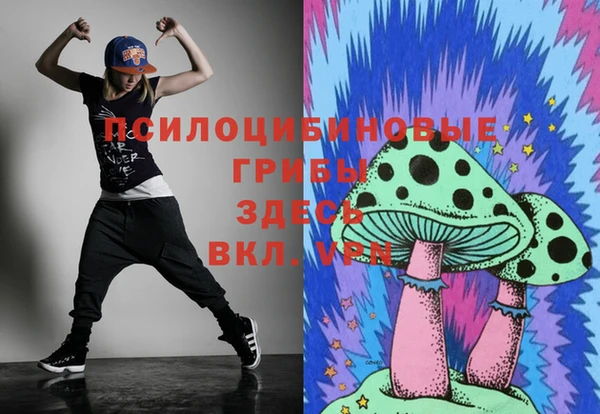 шишки Каменка