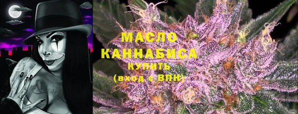 шишки Каменка