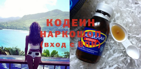 шишки Каменка