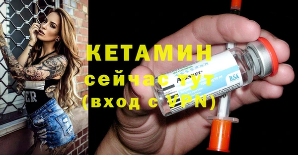 шишки Инсар