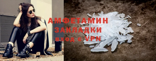шишки Каменка