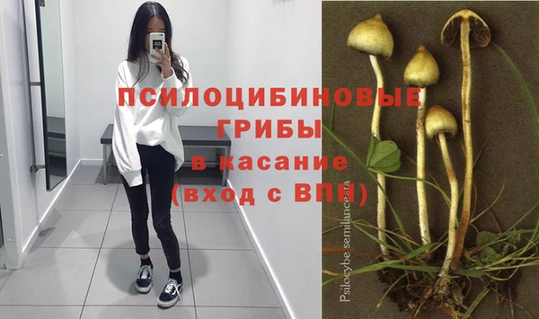 шишки Каменка
