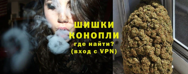 PSILOCYBIN Каменск-Шахтинский