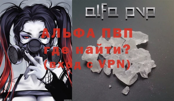 шишки Инсар