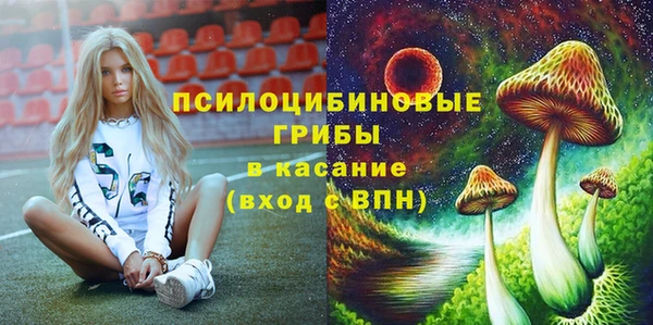 PSILOCYBIN Каменск-Шахтинский