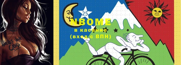 шишки Каменка