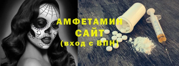 шишки Каменка