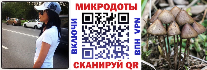 Галлюциногенные грибы Psilocybine cubensis  Купить  Горнозаводск 